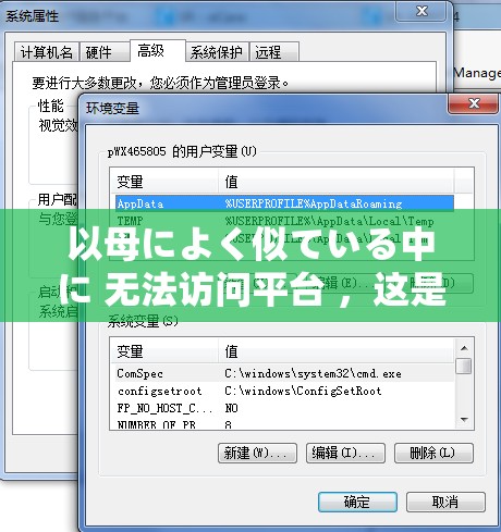 以母によく似ている中に 无法访问平台 ，这是为何？