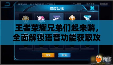 王者荣耀兄弟们起来嗨，全面解锁语音功能获取攻略详解