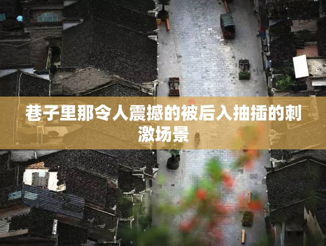 巷子里那令人震撼的被后入抽插的刺激场景