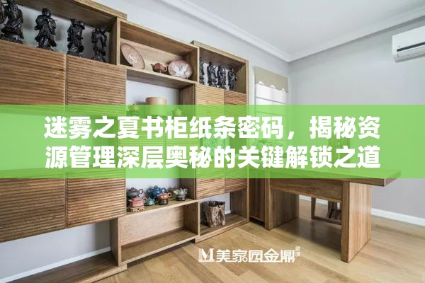 迷雾之夏书柜纸条密码，揭秘资源管理深层奥秘的关键解锁之道