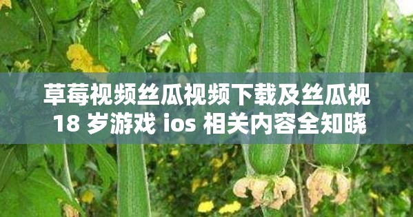 草莓视频丝瓜视频下载及丝瓜视 18 岁游戏 ios 相关内容全知晓