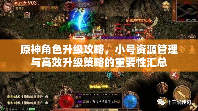 原神角色升级攻略，小号资源管理与高效升级策略的重要性汇总
