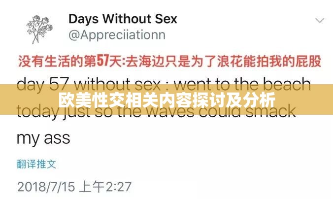 欧美性交相关内容探讨及分析