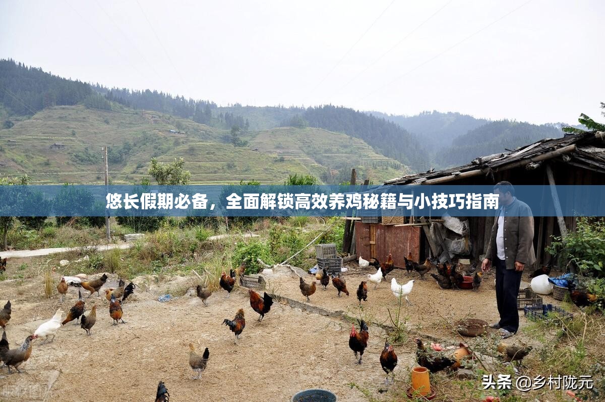 悠长假期必备，全面解锁高效养鸡秘籍与小技巧指南