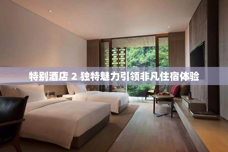 特别酒店 2 独特魅力引领非凡住宿体验