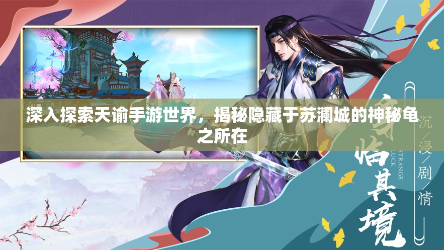 深入探索天谕手游世界，揭秘隐藏于苏澜城的神秘龟之所在