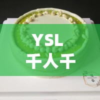 YSL 千人千色 AE86V 独特魅力引领时尚潮流