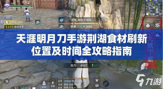 天涯明月刀手游荆湖食材刷新位置及时间全攻略指南