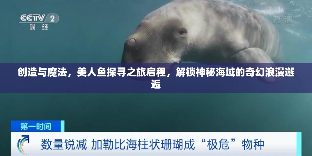创造与魔法，美人鱼探寻之旅启程，解锁神秘海域的奇幻浪漫邂逅