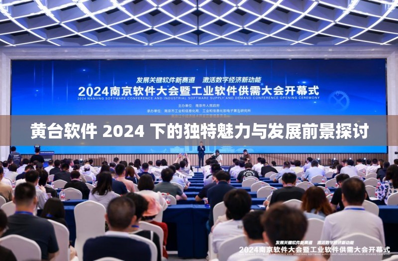 黄台软件 2024 下的独特魅力与发展前景探讨