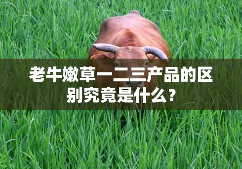 老牛嫩草一二三产品的区别究竟是什么？