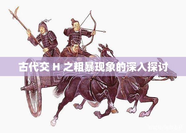 古代交 H 之粗暴现象的深入探讨