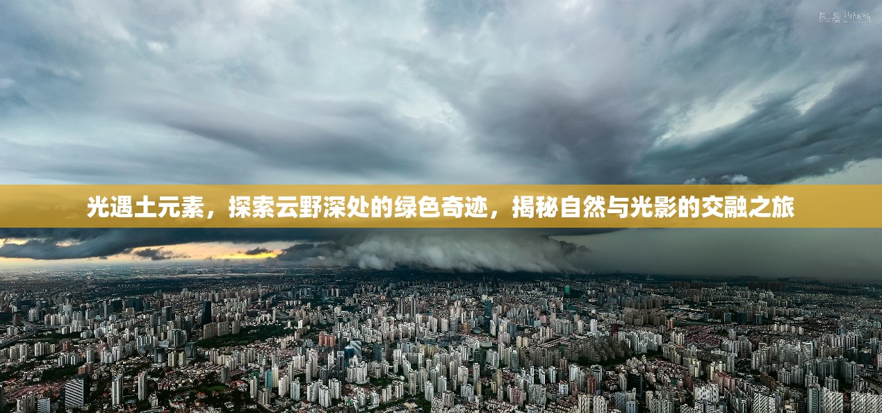 光遇土元素，探索云野深处的绿色奇迹，揭秘自然与光影的交融之旅