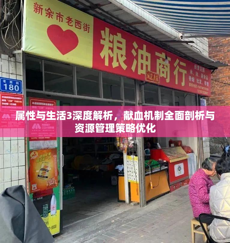 属性与生活3深度解析，献血机制全面剖析与资源管理策略优化