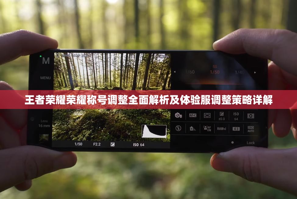 王者荣耀荣耀称号调整全面解析及体验服调整策略详解
