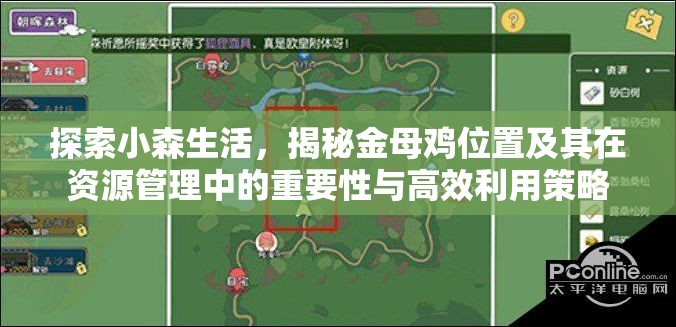 探索小森生活，揭秘金母鸡位置及其在资源管理中的重要性与高效利用策略
