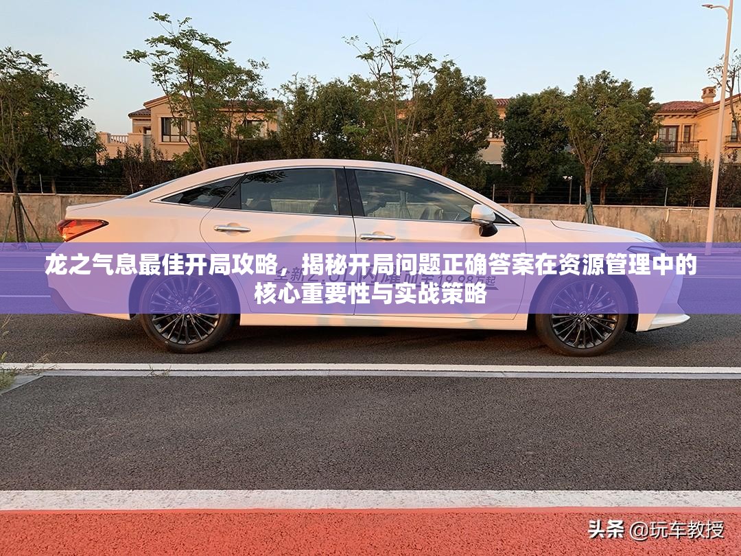龙之气息最佳开局攻略，揭秘开局问题正确答案在资源管理中的核心重要性与实战策略
