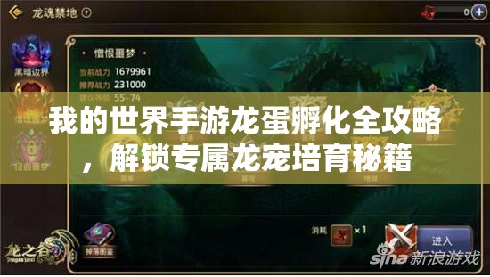 我的世界手游龙蛋孵化全攻略，解锁专属龙宠培育秘籍