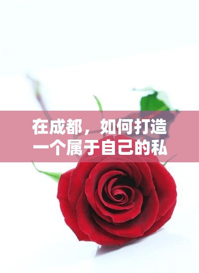 在成都，如何打造一个属于自己的私人家庭影院？