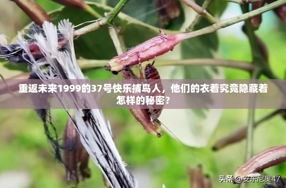 重返未来1999的37号快乐捕鸟人，他们的衣着究竟隐藏着怎样的秘密？