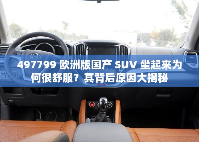 497799 欧洲版国产 SUV 坐起来为何很舒服？其背后原因大揭秘