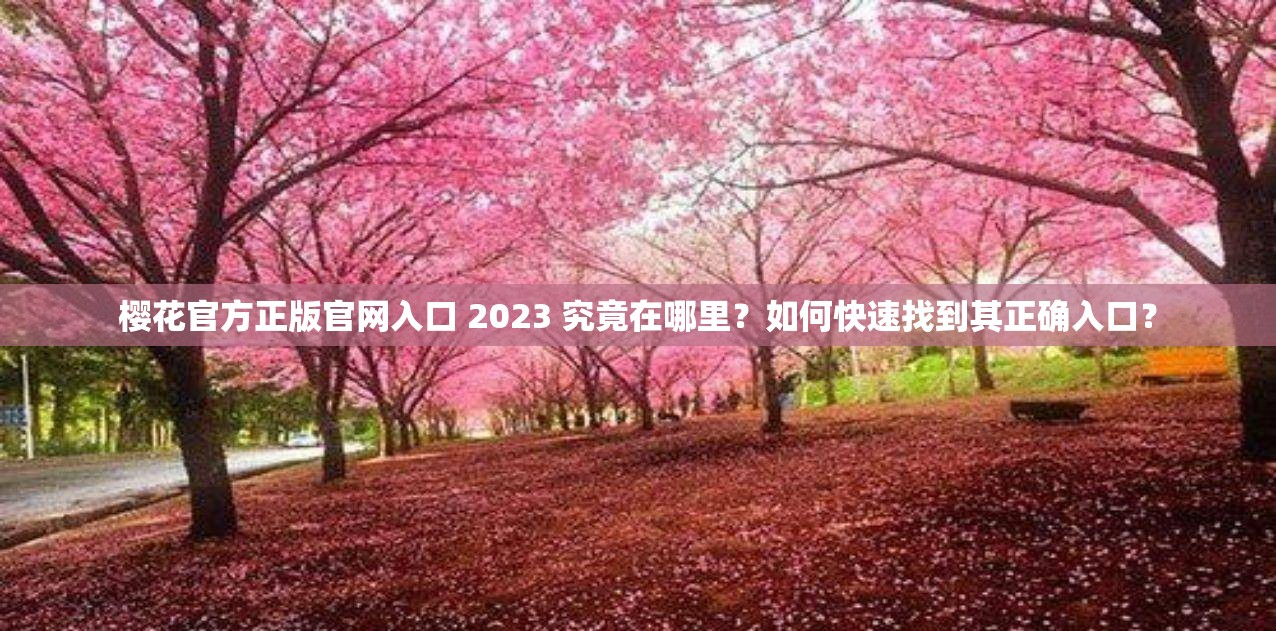 樱花官方正版官网入口 2023 究竟在哪里？如何快速找到其正确入口？