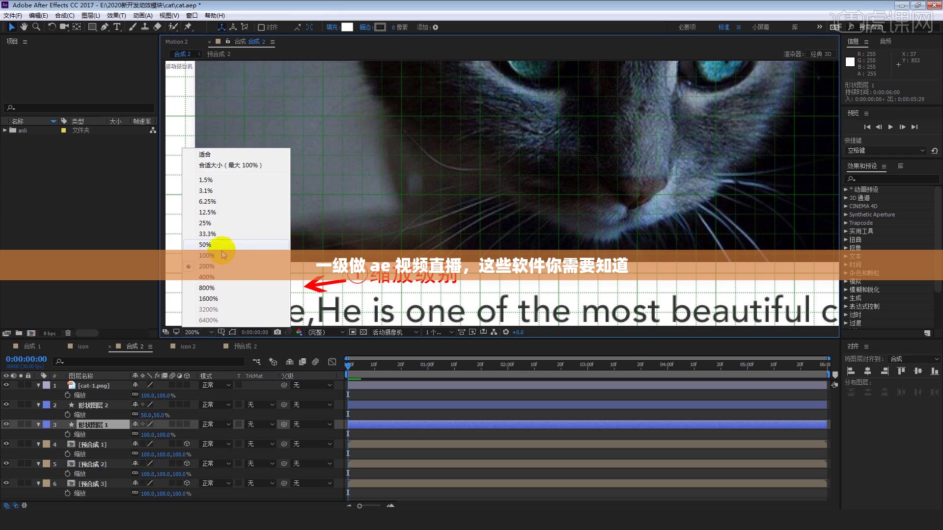 一级做 ae 视频直播，这些软件你需要知道