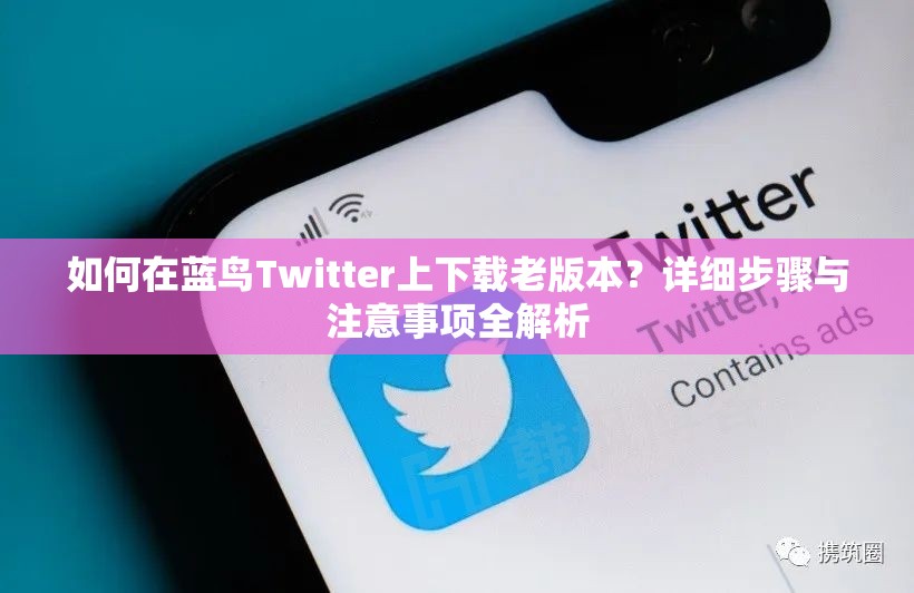 如何在蓝鸟Twitter上下载老版本？详细步骤与注意事项全解析