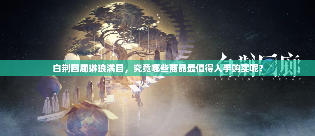 白荆回廊琳琅满目，究竟哪些商品最值得入手购买呢？