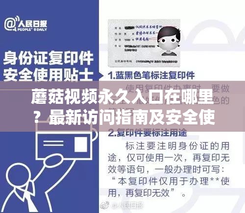 蘑菇视频永久入口在哪里？最新访问指南及安全使用技巧全解析