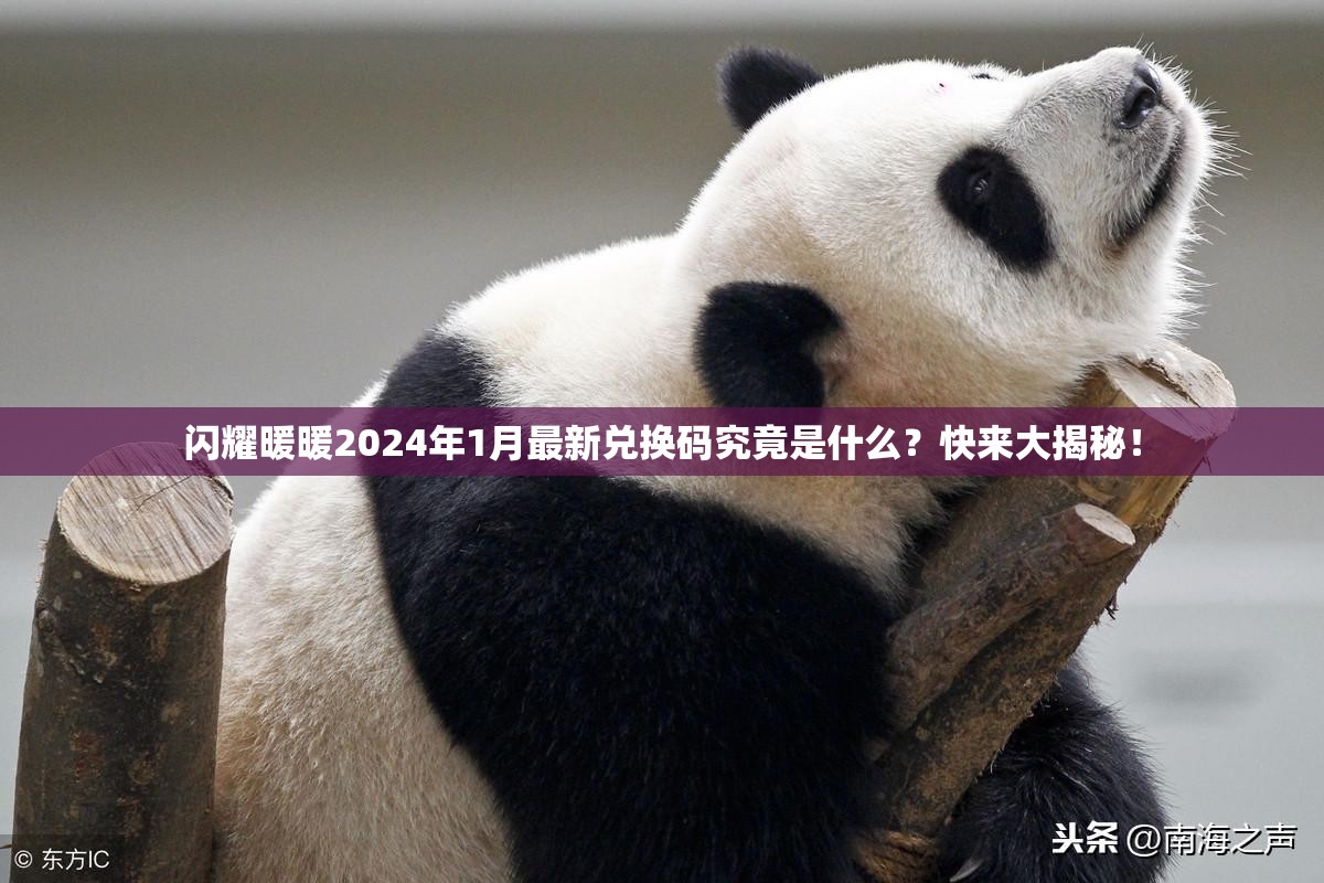 闪耀暖暖2024年1月最新兑换码究竟是什么？快来大揭秘！