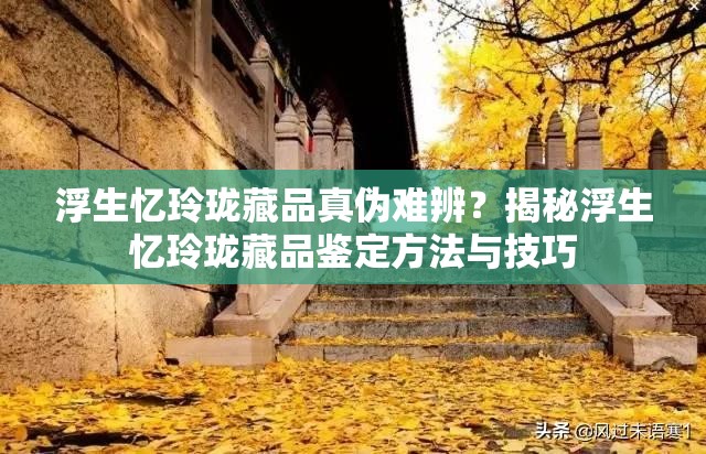 浮生忆玲珑藏品真伪难辨？揭秘浮生忆玲珑藏品鉴定方法与技巧