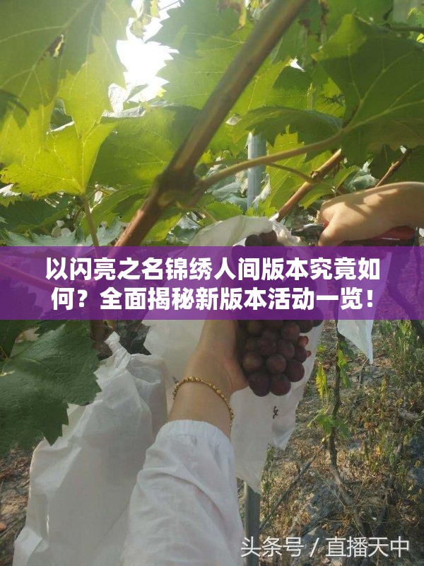 以闪亮之名锦绣人间版本究竟如何？全面揭秘新版本活动一览！