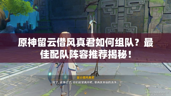 原神留云借风真君如何组队？最佳配队阵容推荐揭秘！