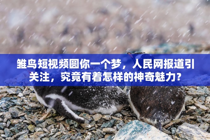 雏鸟短视频圆你一个梦，人民网报道引关注，究竟有着怎样的神奇魅力？