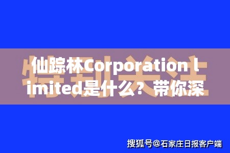 仙踪林Corporation limited是什么？带你深入了解仙踪林Corporation limited的奥秘