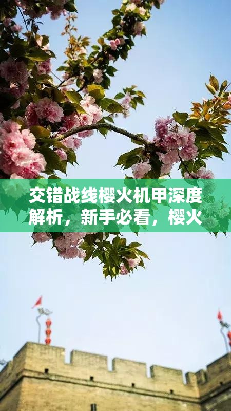 交错战线樱火机甲深度解析，新手必看，樱火机甲玩法攻略揭秘？