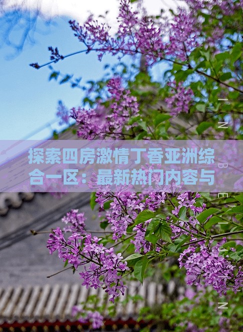 探索四房激情丁香亚洲综合一区：最新热门内容与深度解析，满足你的观影需求与好奇心