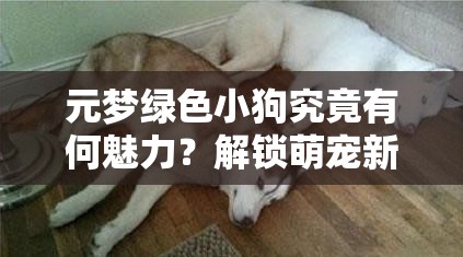 元梦绿色小狗究竟有何魅力？解锁萌宠新姿势的秘籍大揭秘！