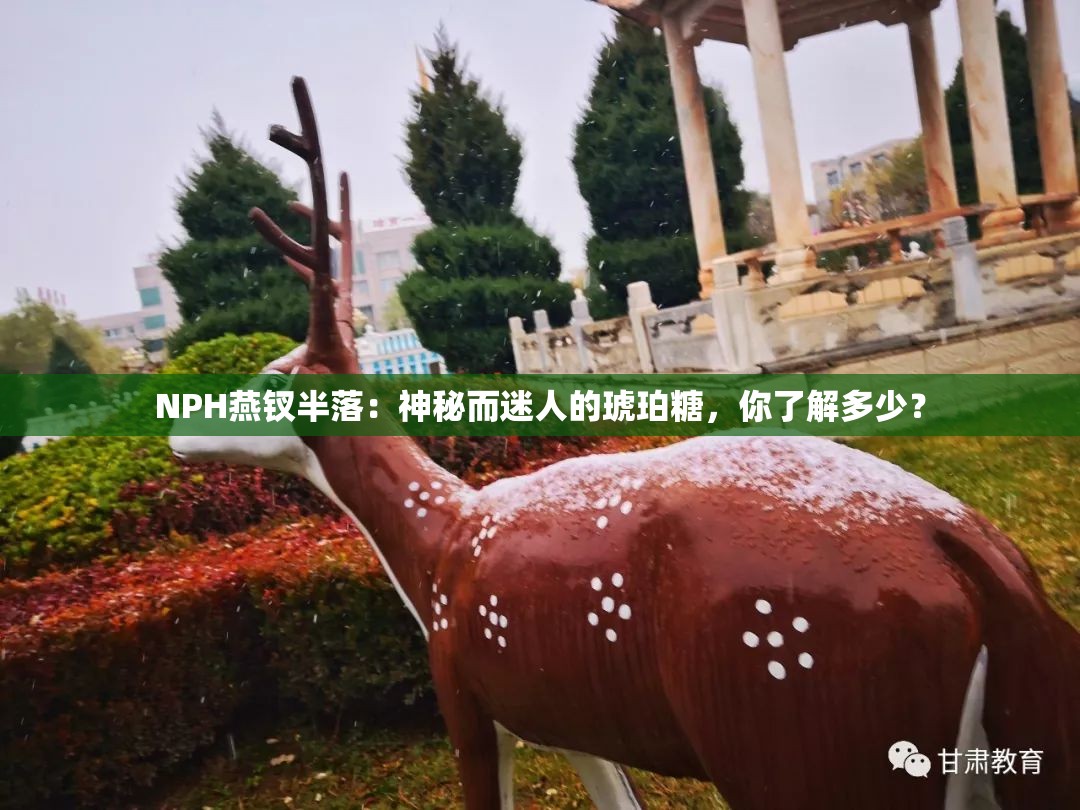 NPH燕钗半落：神秘而迷人的琥珀糖，你了解多少？