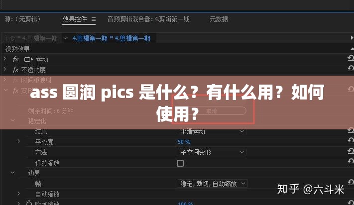 ass 圆润 pics 是什么？有什么用？如何使用？