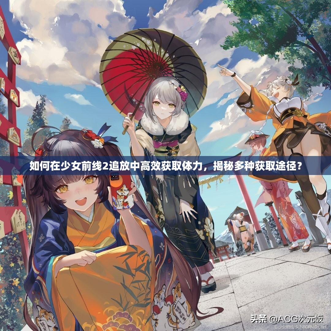 如何在少女前线2追放中高效获取体力，揭秘多种获取途径？