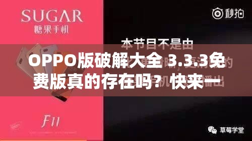 OPPO版破解大全 3.3.3免费版真的存在吗？快来一探究竟需要提醒的是，使用破解软件是侵犯知识产权且可能存在安全风险的行为，不建议进行此类操作