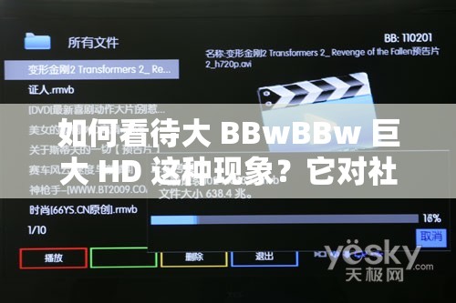 如何看待大 BBwBBw 巨大 HD 这种现象？它对社会和个人有哪些影响？