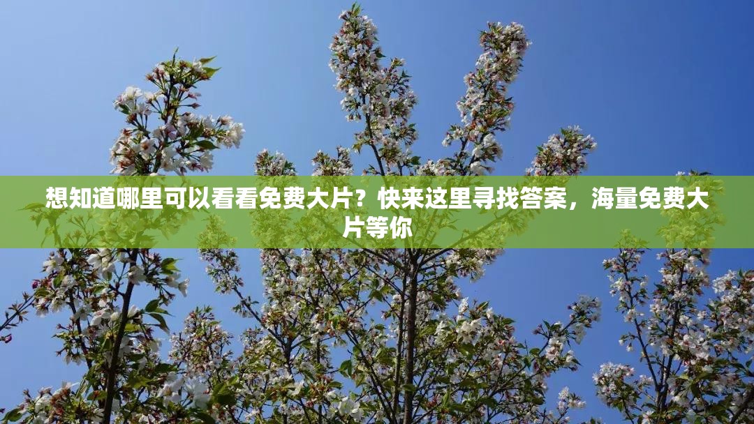 想知道哪里可以看看免费大片？快来这里寻找答案，海量免费大片等你