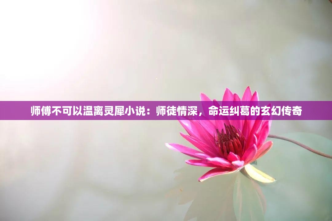 师傅不可以温离灵犀小说：师徒情深，命运纠葛的玄幻传奇