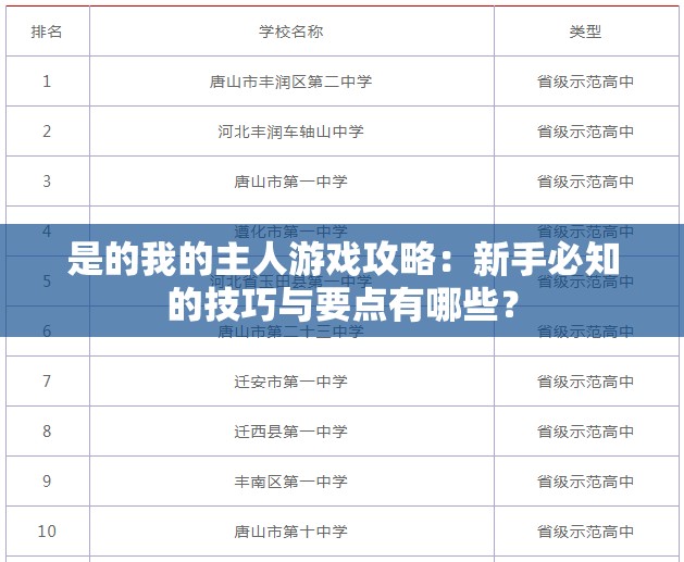 是的我的主人游戏攻略：新手必知的技巧与要点有哪些？