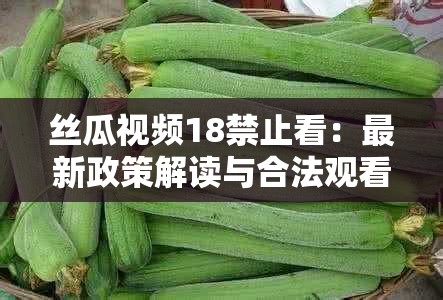 丝瓜视频18禁止看：最新政策解读与合法观看指南，如何避免违规操作？