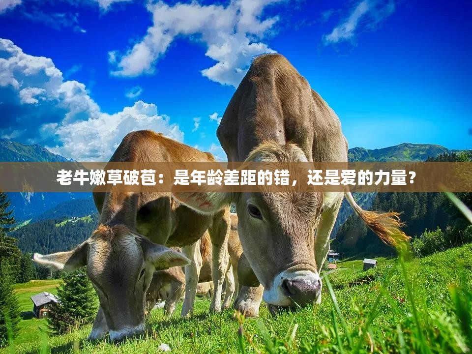 老牛嫩草破苞：是年龄差距的错，还是爱的力量？
