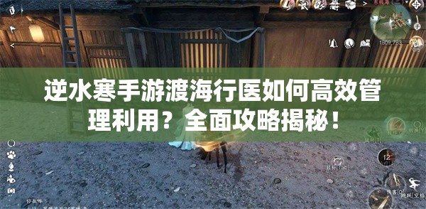逆水寒手游渡海行医如何高效管理利用？全面攻略揭秘！